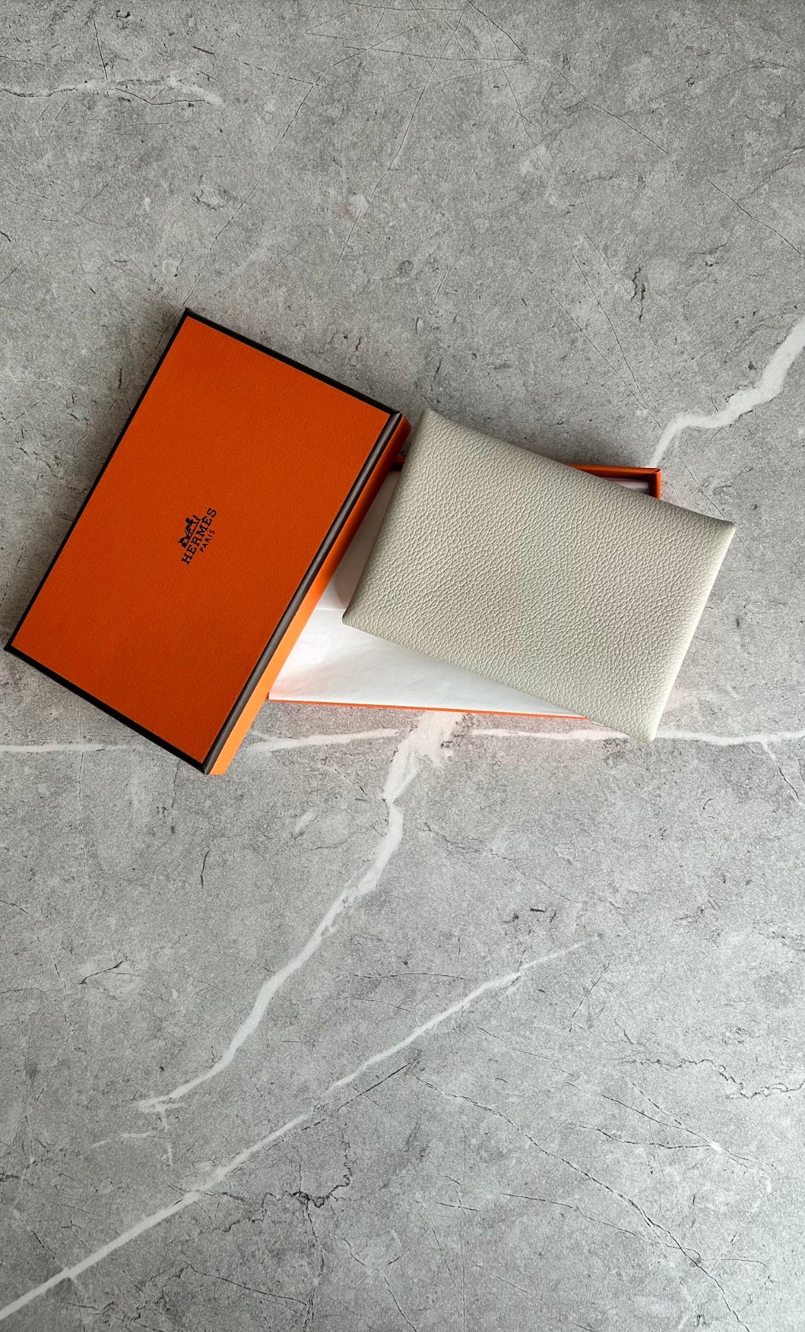 カルヴィデュオ　ベトン#1315